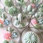 ⁦قالب صبارة كروية⁩ - الصورة ⁦4⁩