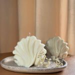 قالب سليكون الصدفة المموجة