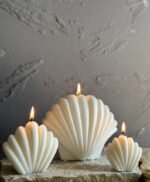 قالب سليكون صدفة البحر - صغير