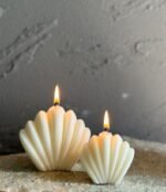 ⁦قالب سليكون صدفة البحر - صغير⁩ - الصورة ⁦2⁩