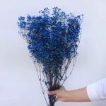 ورد جبسوفيليا مجفف - ازرق
